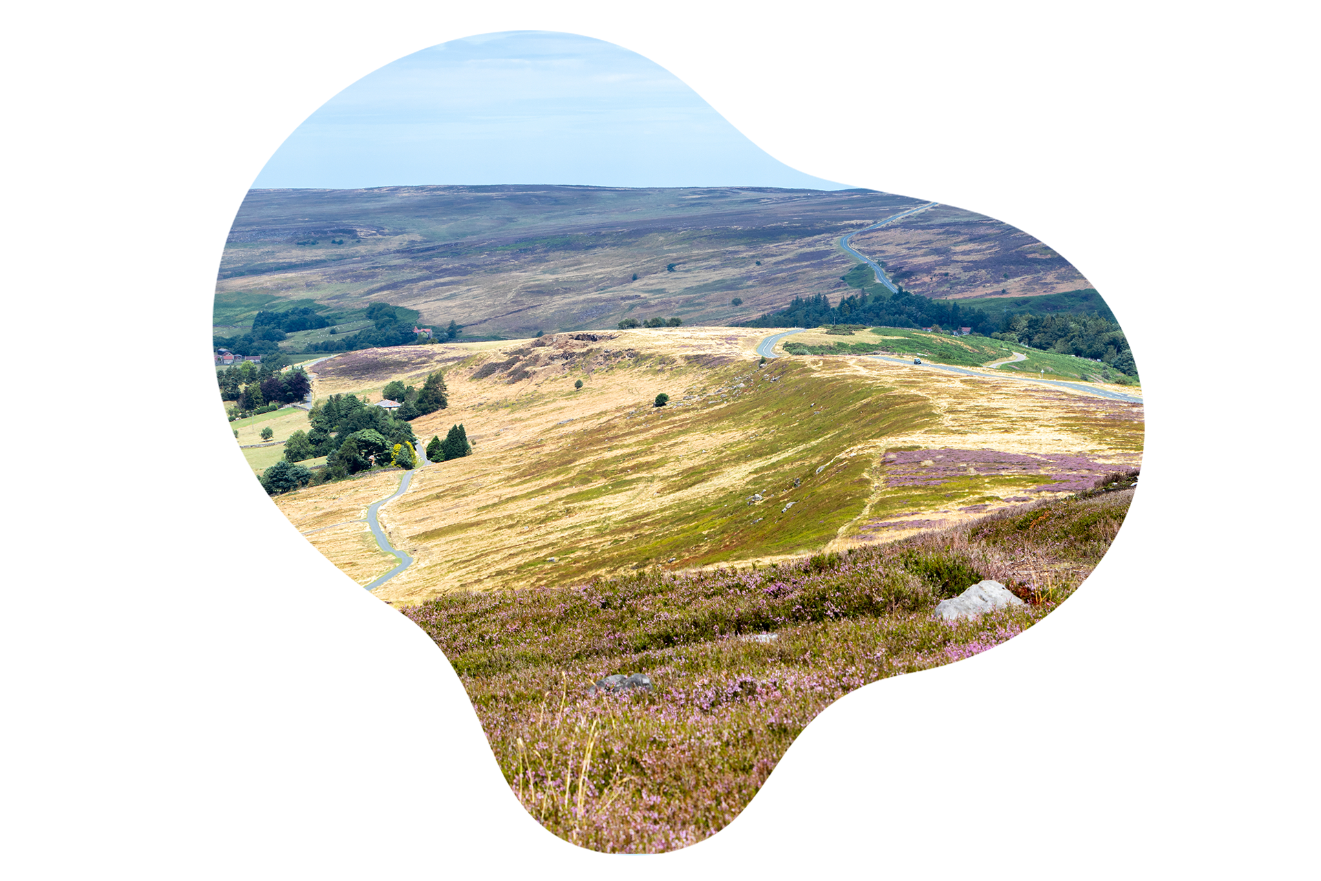 The image captures a sweeping view of a hilly landscape with a winding road meandering through it. The hills are covered in patches of heather and grass, creating a tapestry of natural colors. The sky is clear, suggesting a serene, remote setting, and the road invites exploration into the vast, open terrain.